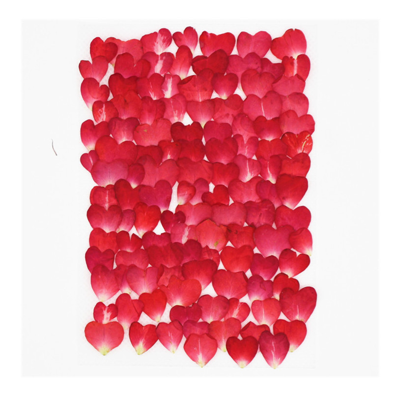 Resin Art Rose Petals - Набор из 120 лепестков роз, сухоцветы,