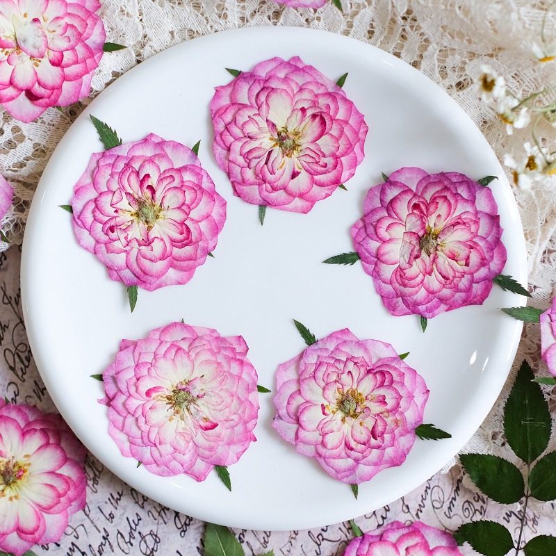 Resin Art Rose Petals - 6 шт., Натуральные прессованные сухоцветы розы