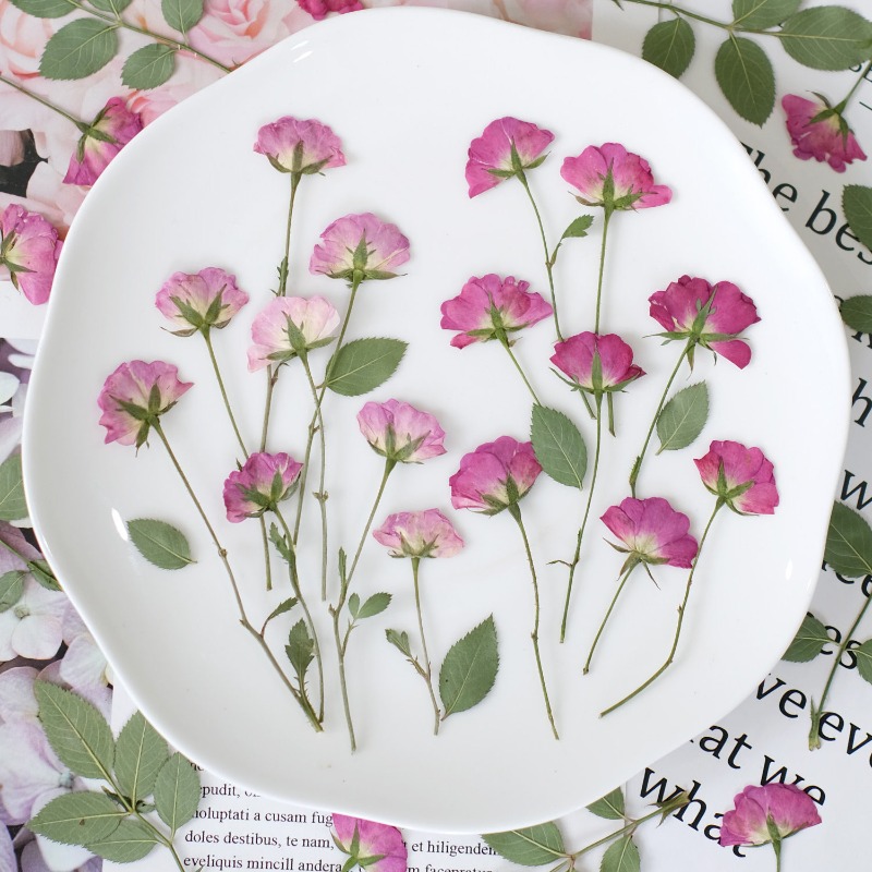 12 шт., настоящие миниатюрные  – обзор и цена Resin Art Rose Petals