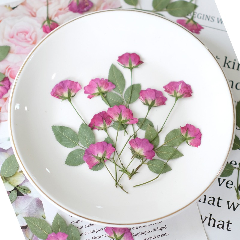 12 шт., настоящие миниатюрные  – обзор и цена Resin Art Rose Petals
