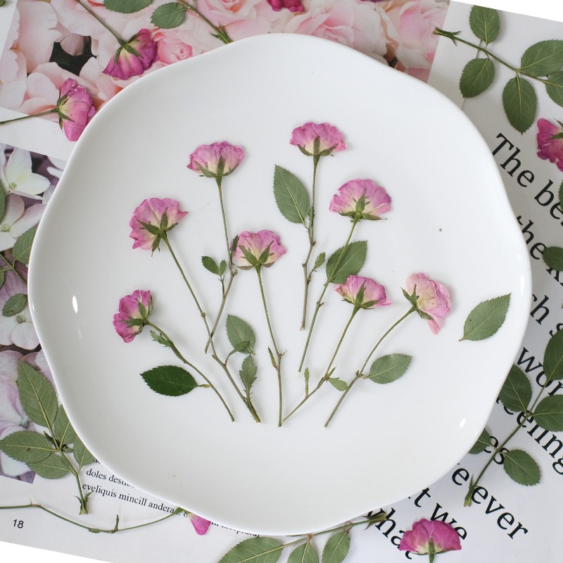 12 шт., настоящие миниатюрные  – обзор и цена Resin Art Rose Petals