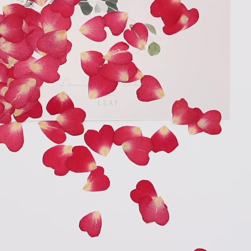 Набор из 120 лепестков роз, су – обзор и цена Resin Art Rose Petals