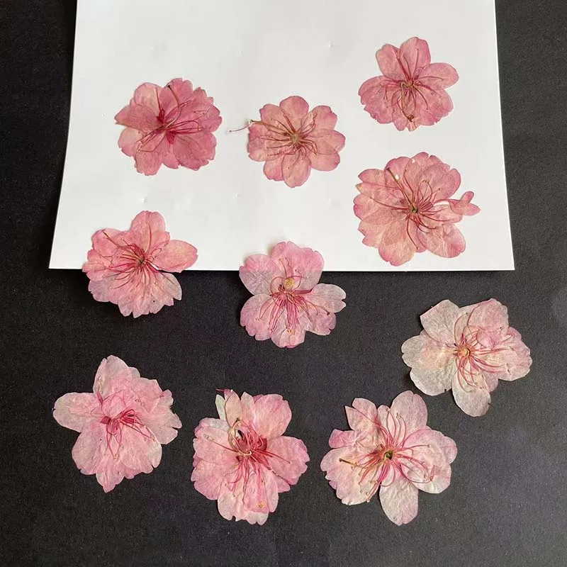 3-4,5 см/24 шт., настоящие нат – обзор и цена Resin Art Rose Petals