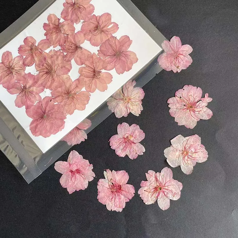 3-4,5 см/24 шт., настоящие нат – обзор и цена Resin Art Rose Petals