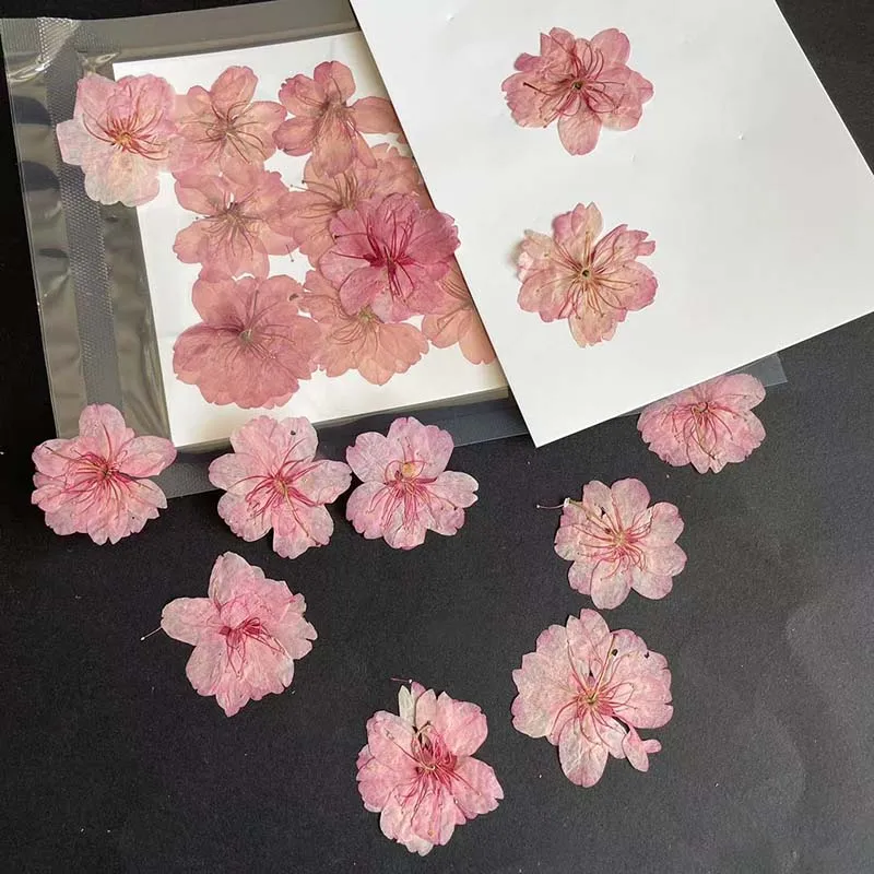 3-4,5 см/24 шт., настоящие нат – обзор и цена Resin Art Rose Petals