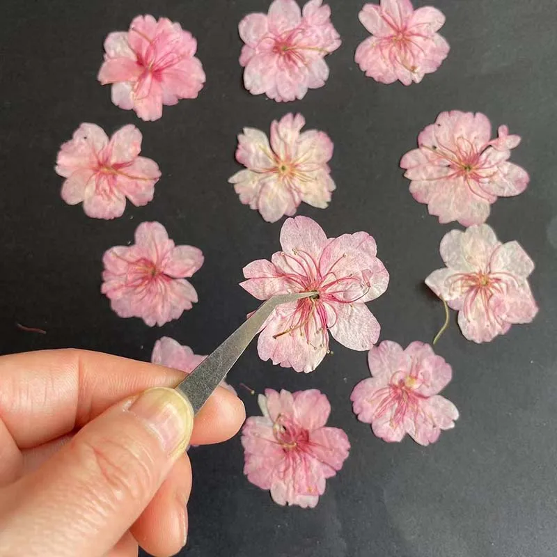 3-4,5 см/24 шт., настоящие нат – обзор и цена Resin Art Rose Petals