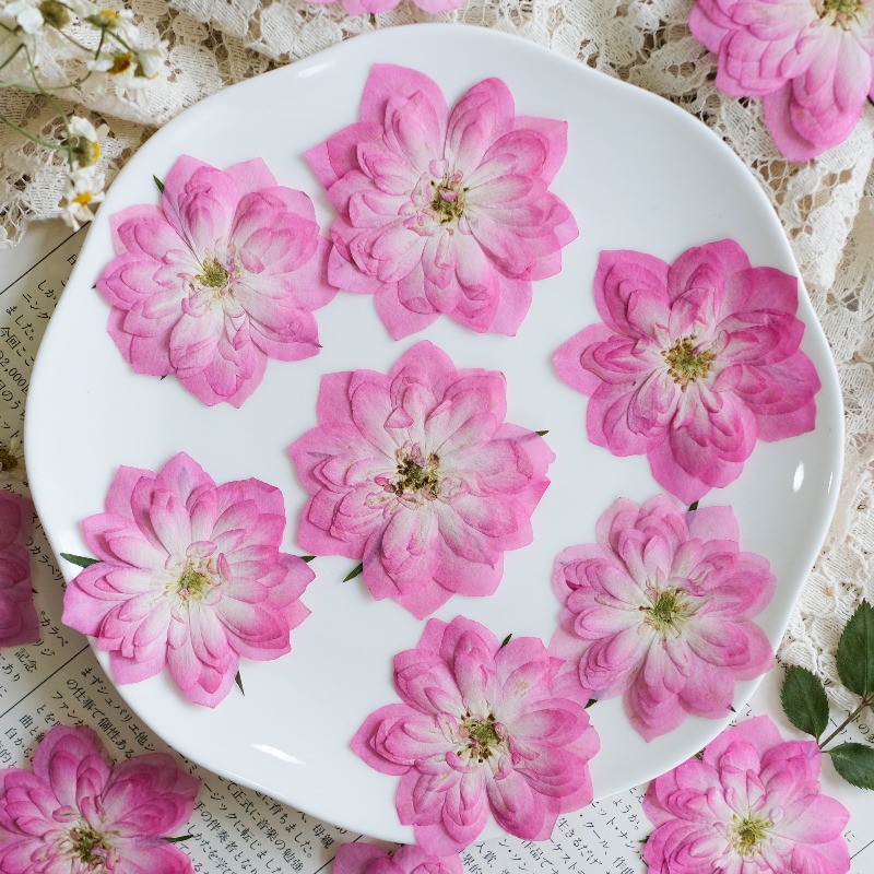 6 шт., Натуральные прессованны – обзор и цена Resin Art Rose Petals